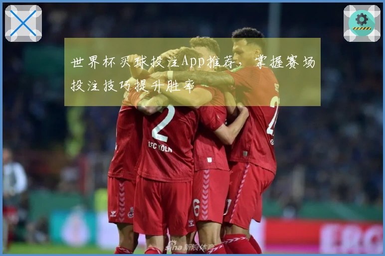 世界杯买球投注App推荐，掌握赛场投注技巧提升胜率
