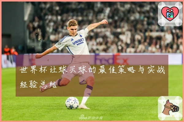 世界杯让球买球的最佳策略与实战经验总结